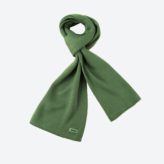 Set scarf S22, gloves R101 - green