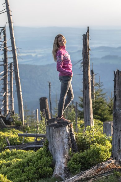Merino sweater Kama 5007