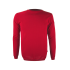 Pullover aus Merinowolle Kama 4101