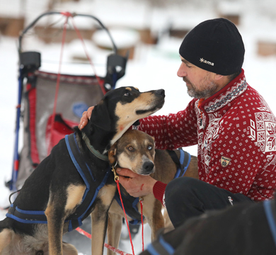musher 390x360_1